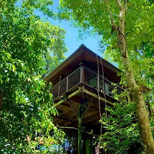 Rainforest Retreat Cairns